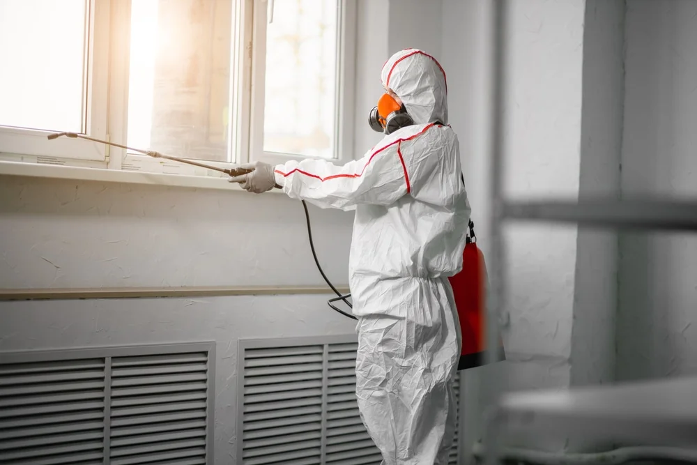 Professional mold remediation services in Sharptown, MD